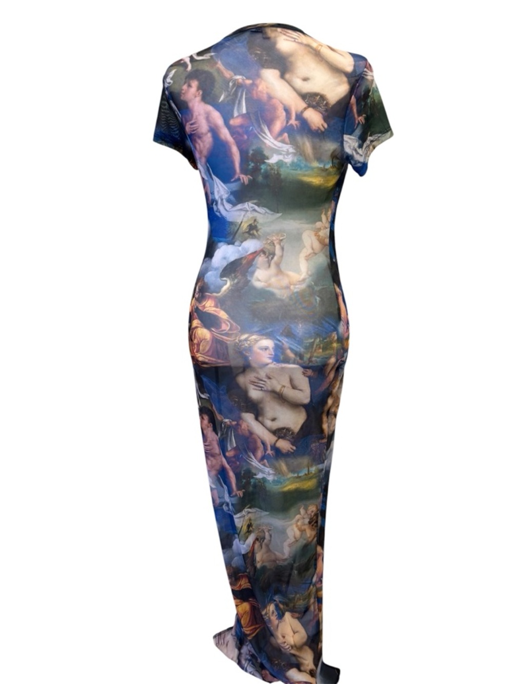 Fashion Nova Renaissance art mesh maxi dress 🎨 - Picture 2 of 6